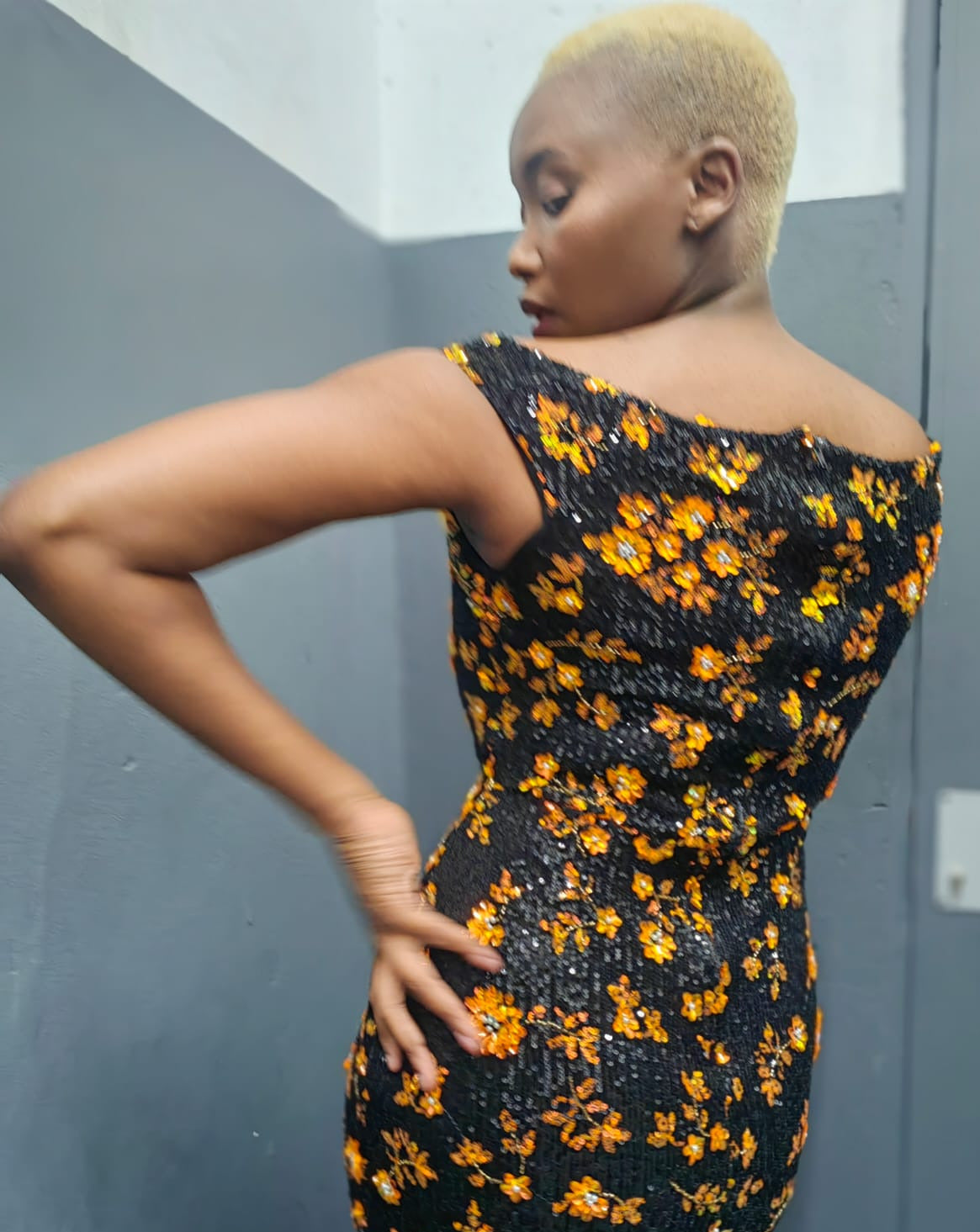 Basaro Dress