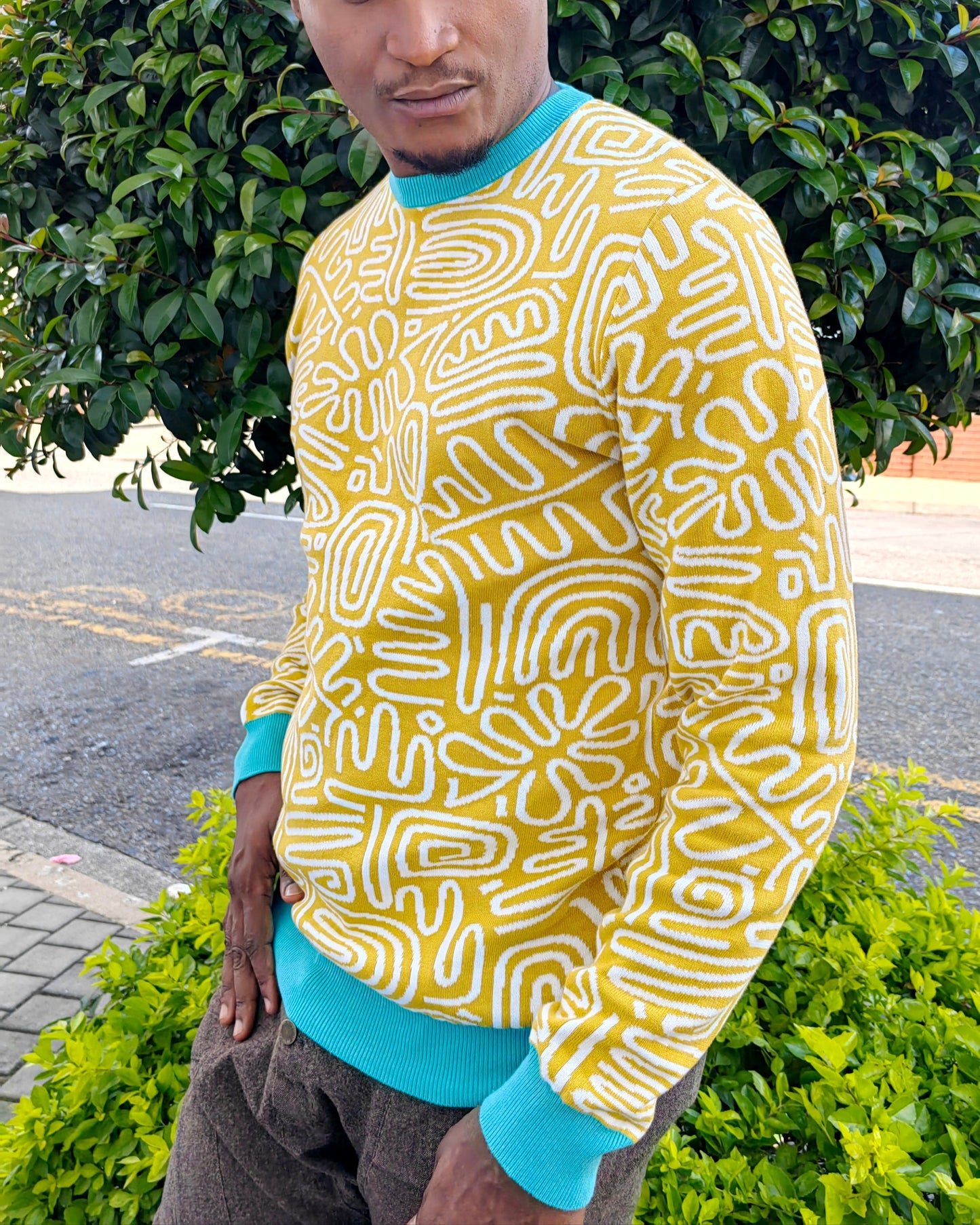 Amaze Pure Cotton Jersey